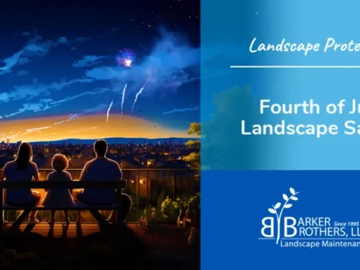 Fireworks Safety Tips: Protecting Your Landscaping During 4th of July Celebrations